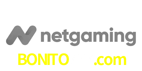 NetGaming